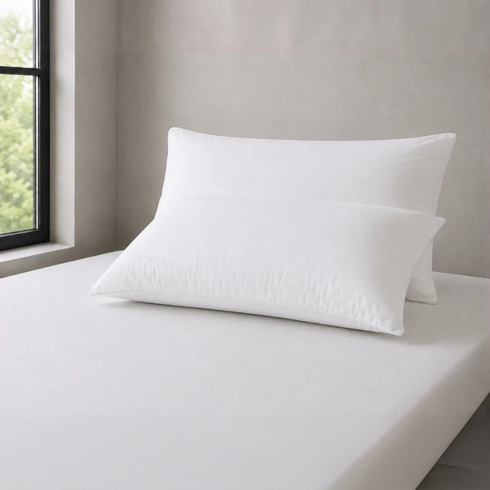 100% Cotton Standard Pillow